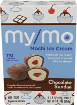 Ice Cream Chocolate Sundae product image.