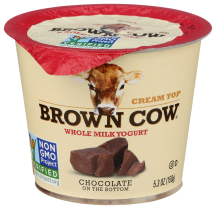 Whole Milk Chocolate Yogurt product image.