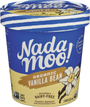 Dairy Free Coconut Milk Ice Cream product image.
