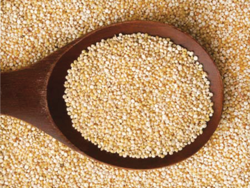 Bulk product image.