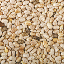 Bulk product image.