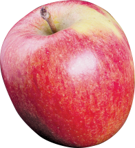 Organic product image.