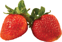 Organic product image.