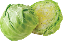 Organic Green Cabbage product image.