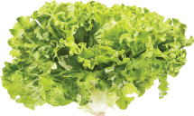 Organic Produce product image.