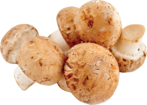 Organic Produce product image.