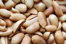 Bulk product image.