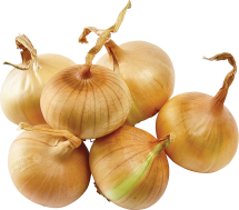 Organic Vidalia Onions product image.