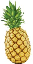 Organic product image.
