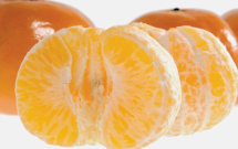 Organic product image.