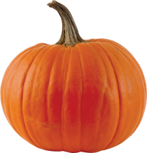 Pumpkin Pie product image.