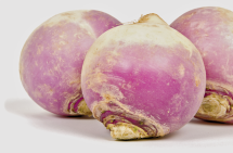 Organic Produce Turnips PLU 93450 product image.