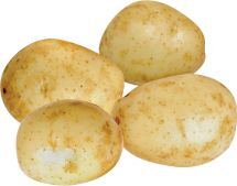 Organic Produce product image.