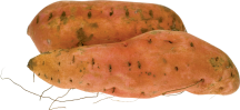 Organic Jewel product image.