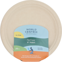 9" Plate product image.