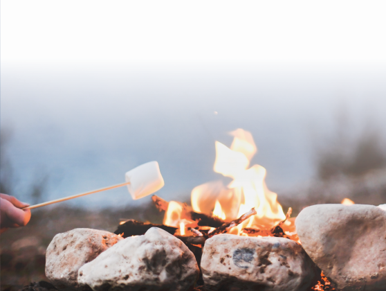 Vegan Marshmallows product image.
