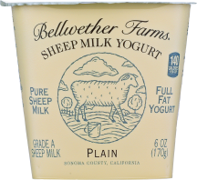 Sheep Milk Yogurt product image.