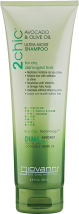 2chic Ultra-Moist Shampoo or product image.